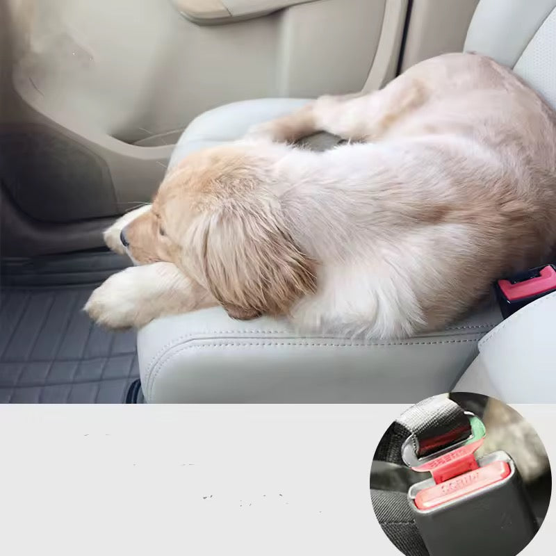 2 cintura di sicurezza per cani auto instatrendshop